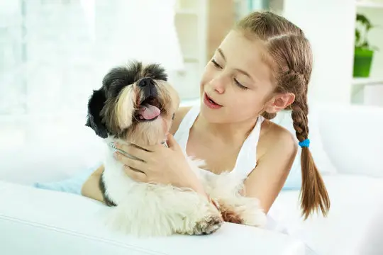 Pets in Rentals: Should Landlords Consider Them?